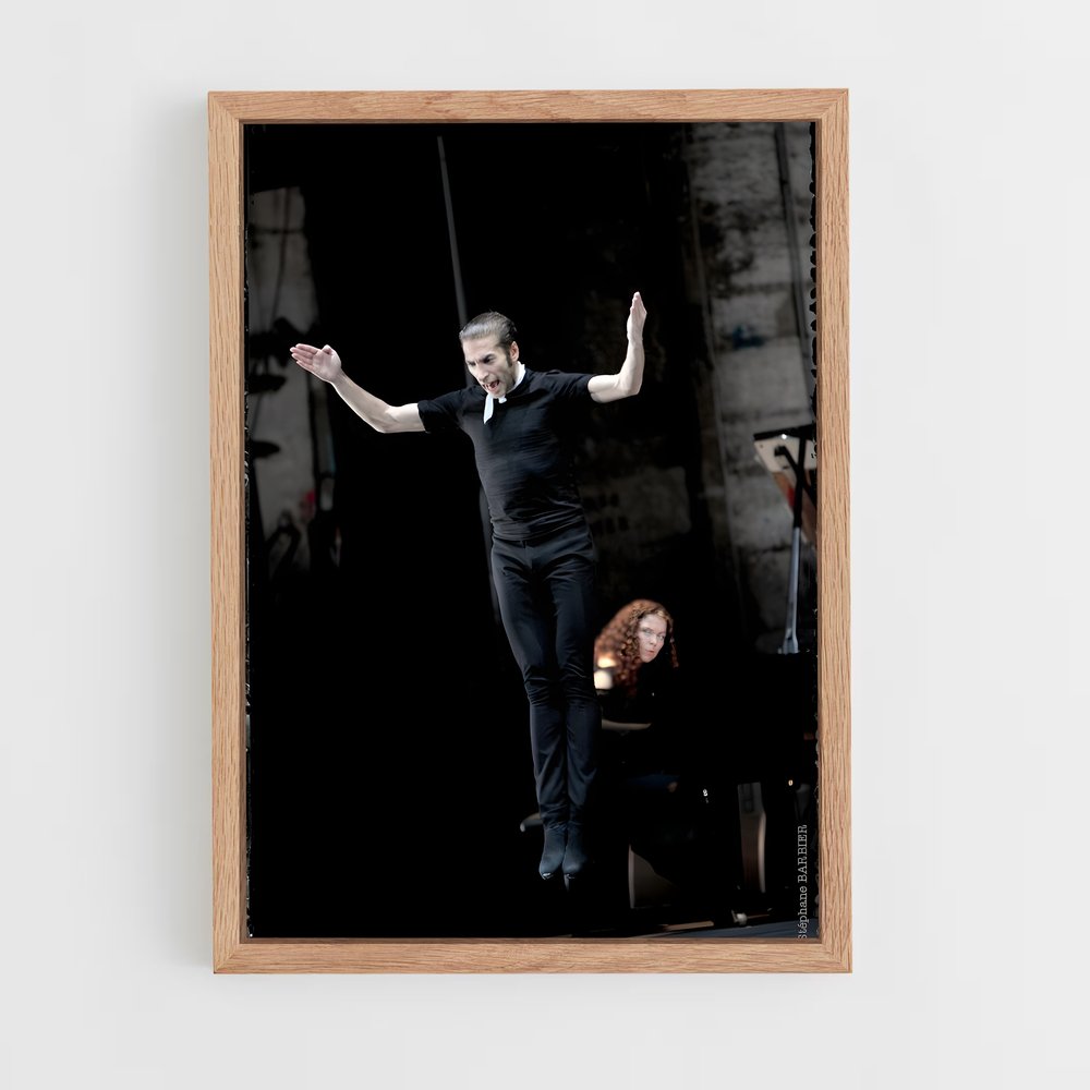 Poster La Scène Éblouissante – affiche Danse (vue 4)
